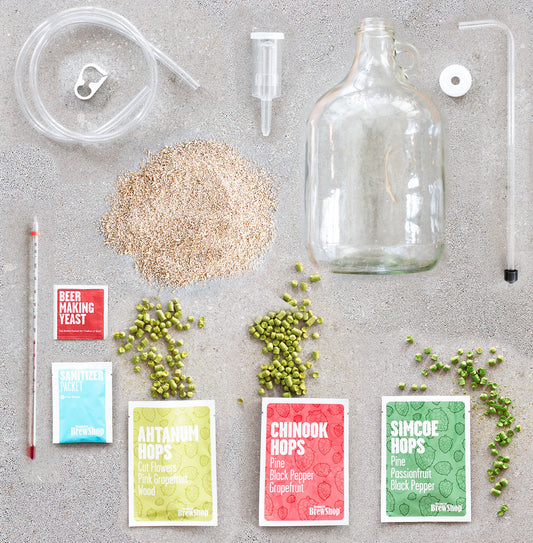 Brew Dog Punk IPA Beer Making Kit