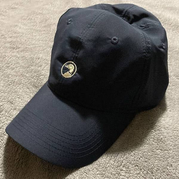 Duckhead navy hat