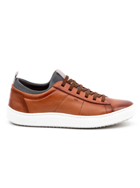 Cameron Sheep Skin Sneakers - Whiskey