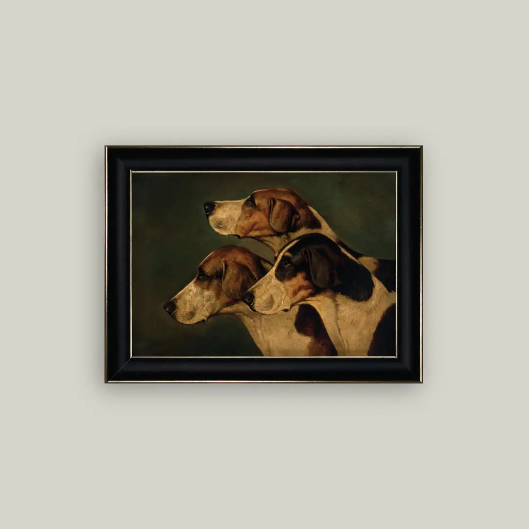 Framed Three English Foxhounds