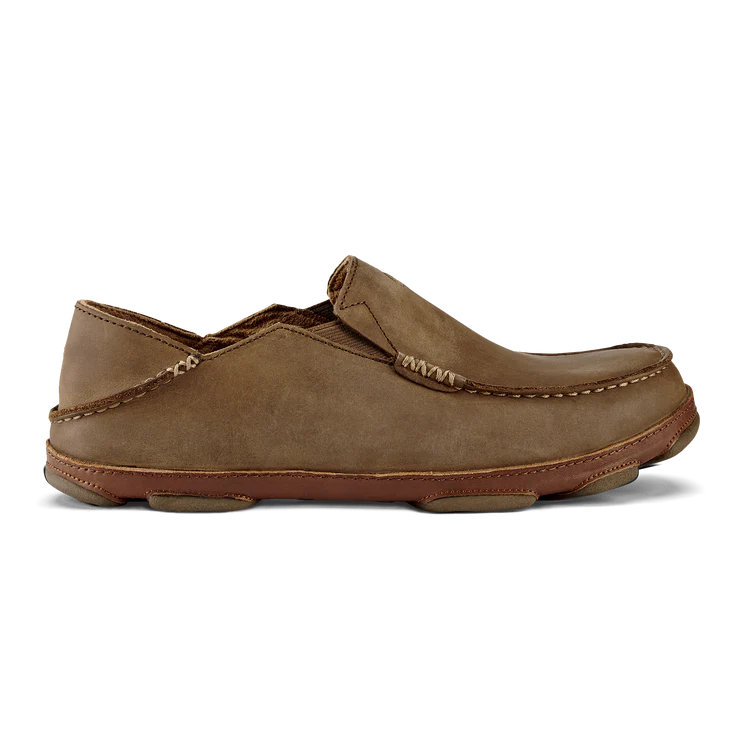 Moloa Shoes