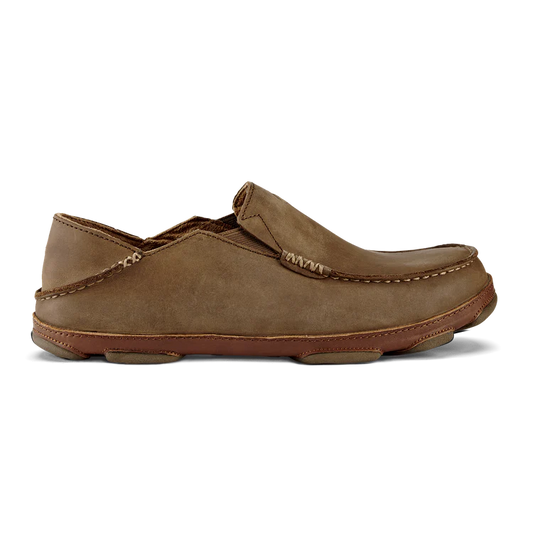 Moloa Shoes