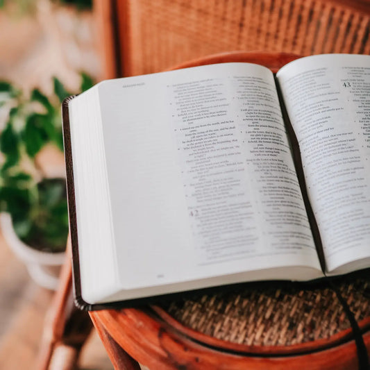 Esv Journaling Bible - Mocha Bonded Leather