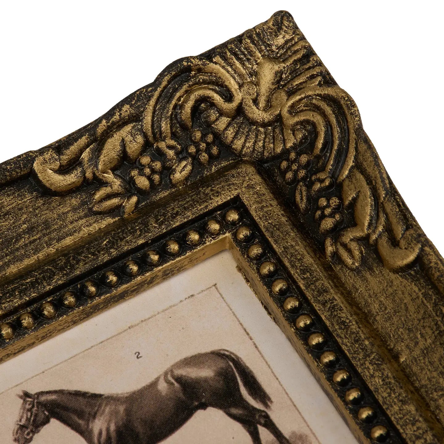 Horse Breeds Wall Art