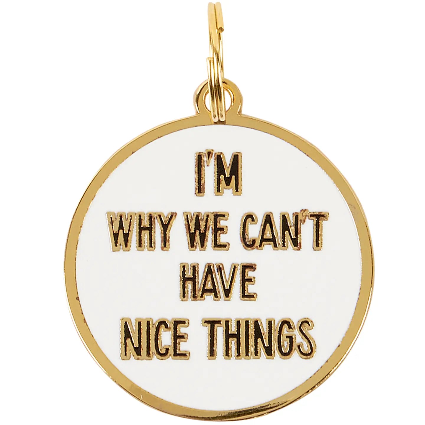 Nice Things Dog Collar Charm