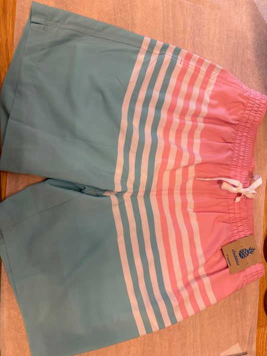 On The Horizon Lined Shorts