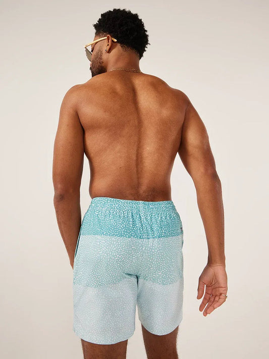 Whale Shark Shorts