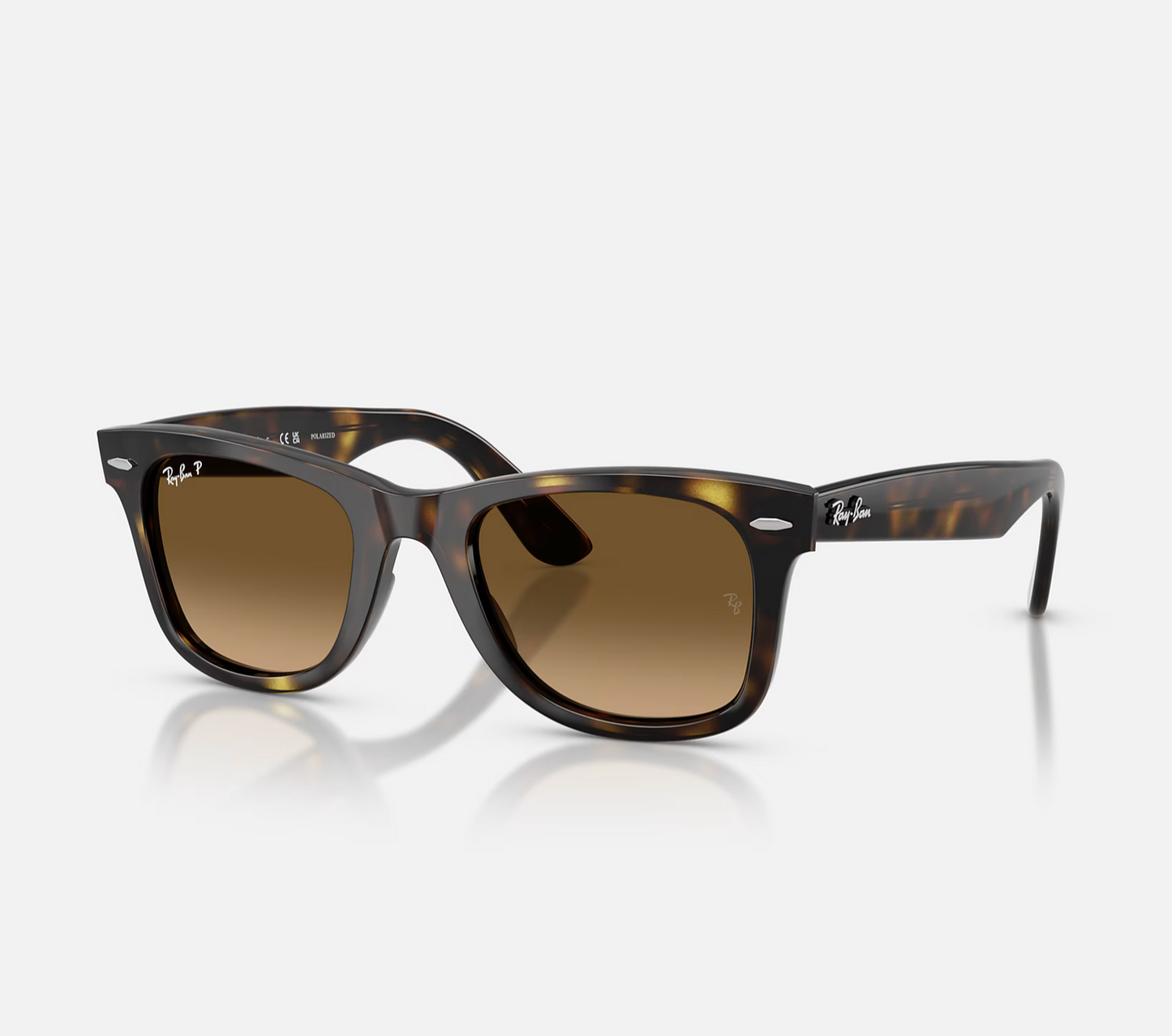 Ray Ban Wayfarer Ease Sunglasses