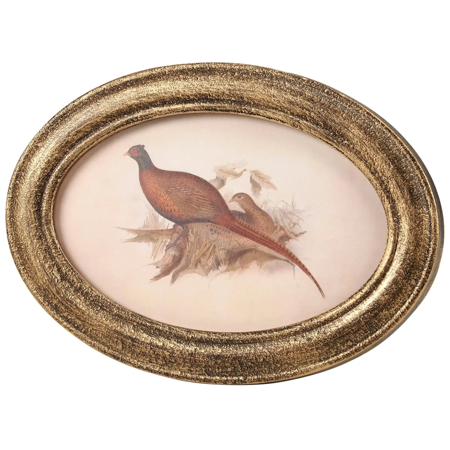 Phesant Framed Art